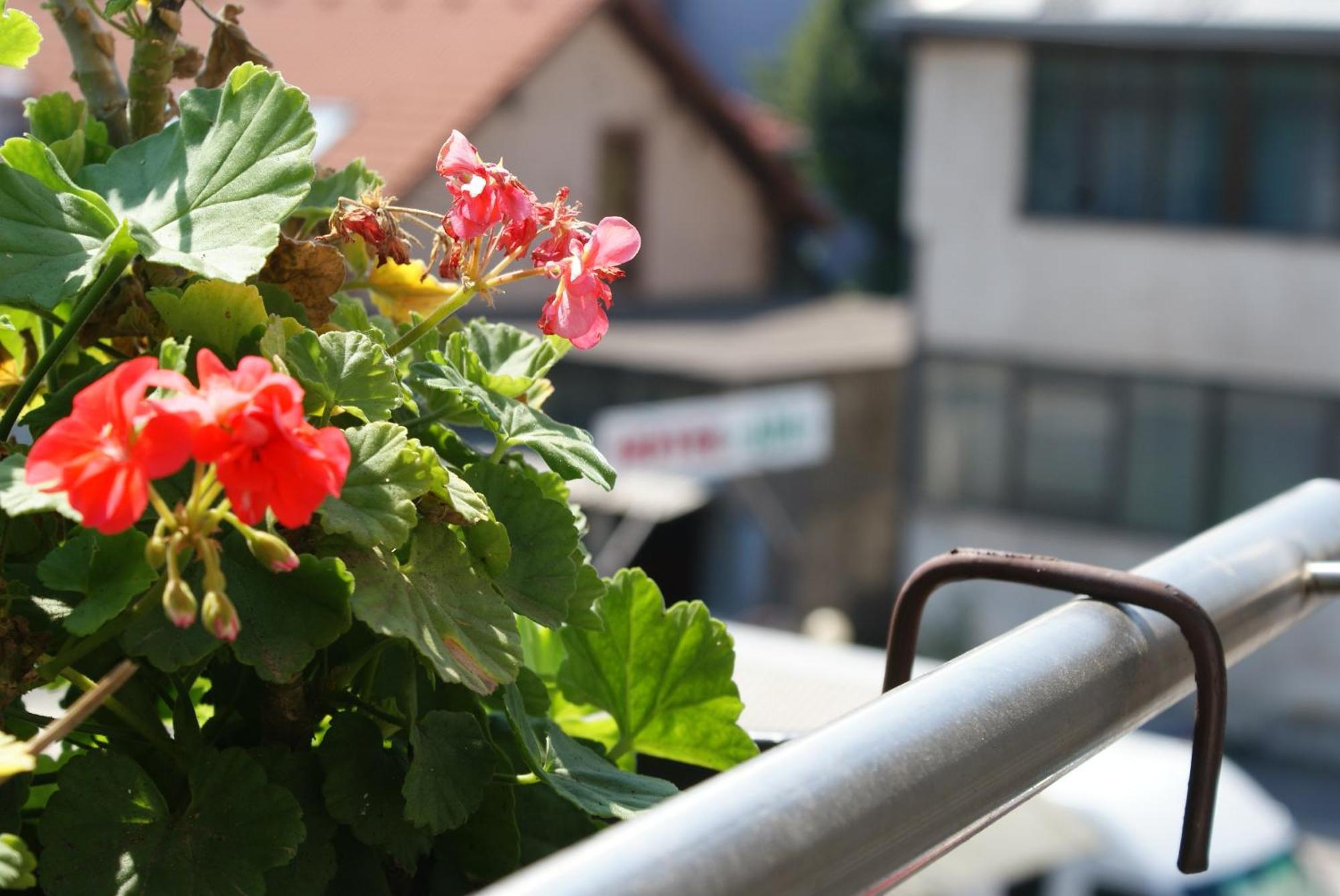 Hotel Ada - Otoka Sarajevo Ruang foto